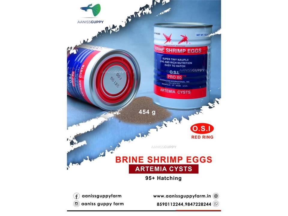 Best Price Superior Quality Artemia Cysts Brine Shrimp Super Fine - China  Artemia Cysts, Brine Shrimp Eggs | Made-in-China.com